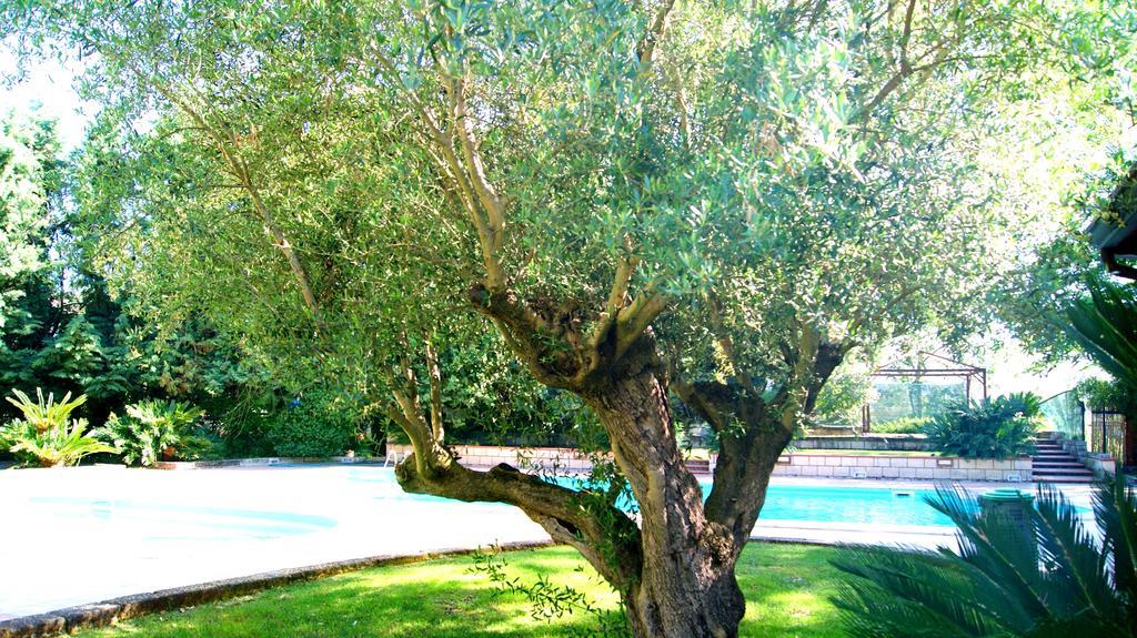 קפואה Agriturismo La Colombaia מראה חיצוני תמונה